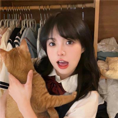 鸟儿们的奇幻冒险